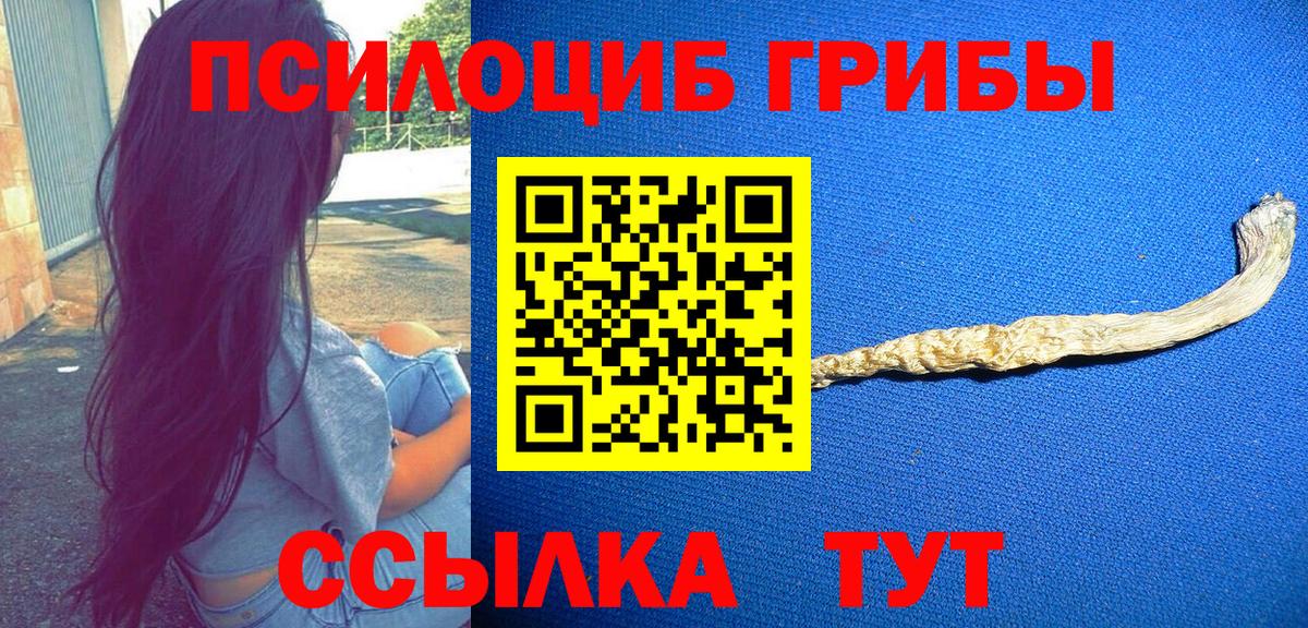 Псилоцибиновые грибы GOLDEN TEACHER Конаково